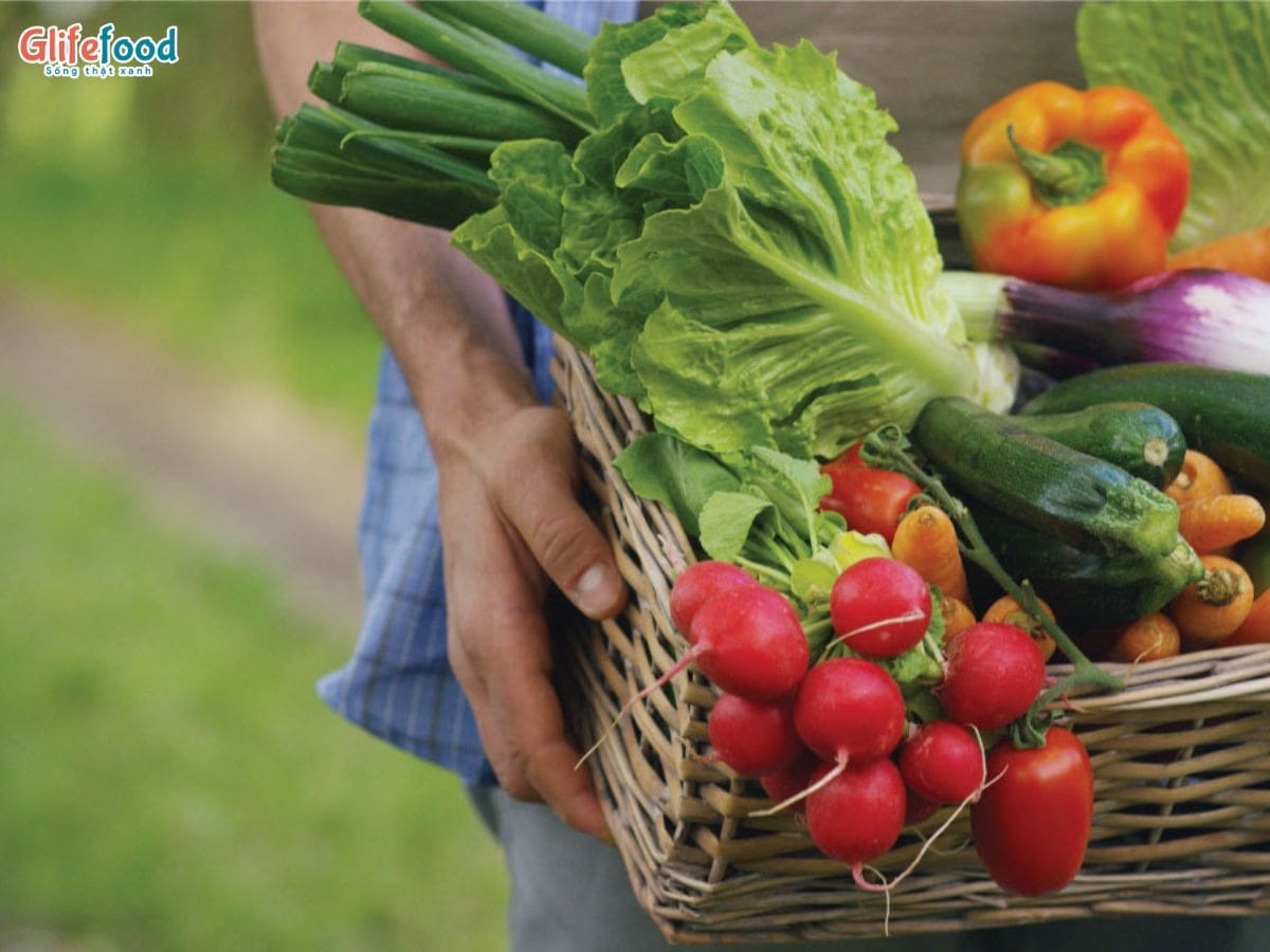 TOP 5 NHÓM THỰC PHẨM TỰ NHIÊN TĂNG CƯỜNG HỆ MIỄN DỊCH